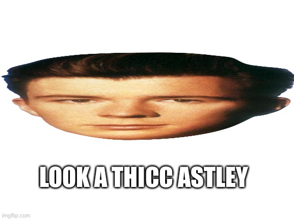 thicc | LOOK A THICC ASTLEY | image tagged in blank white template,thicc,rick astley | made w/ Imgflip meme maker