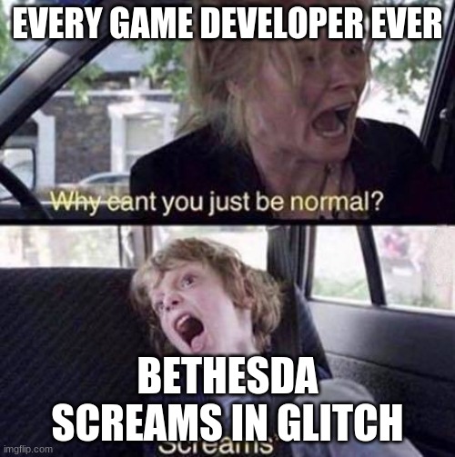 Why Can't You Just Be Normal | EVERY GAME DEVELOPER EVER; BETHESDA SCREAMS IN GLITCH | image tagged in why can't you just be normal | made w/ Imgflip meme maker