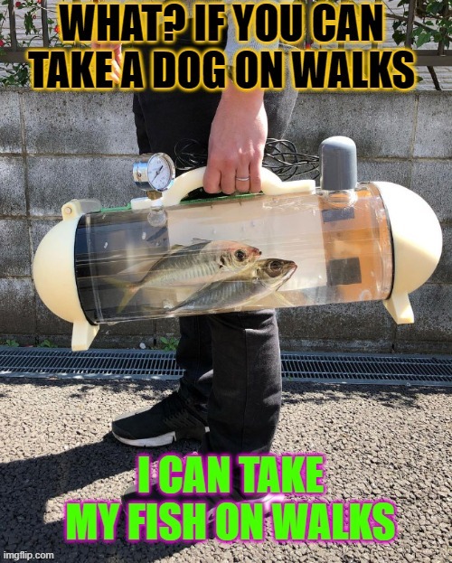 fish on walks | image tagged in fish,walks | made w/ Imgflip meme maker