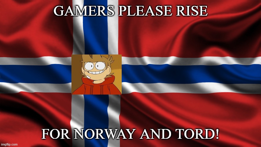 yes! | GAMERS PLEASE RISE; FOR NORWAY AND TORD! | image tagged in norway | made w/ Imgflip meme maker