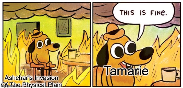 No one understands this probably | Tamarie; Ashchar’s Invasion Of The Physical Plain | image tagged in memes,this is fine | made w/ Imgflip meme maker