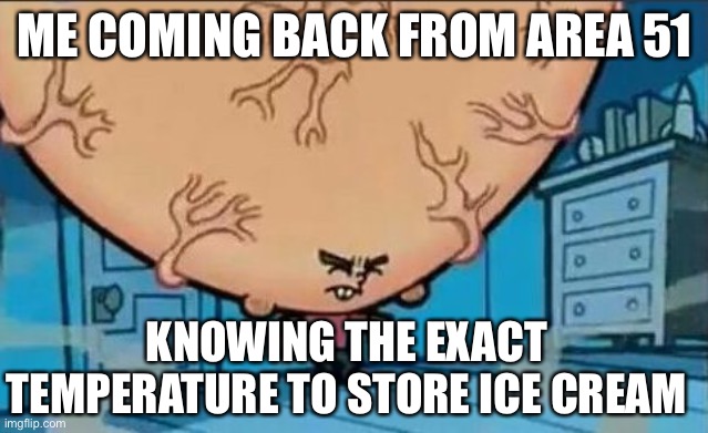 Big Brain timmy | ME COMING BACK FROM AREA 51; KNOWING THE EXACT TEMPERATURE TO STORE ICE CREAM | image tagged in big brain timmy | made w/ Imgflip meme maker