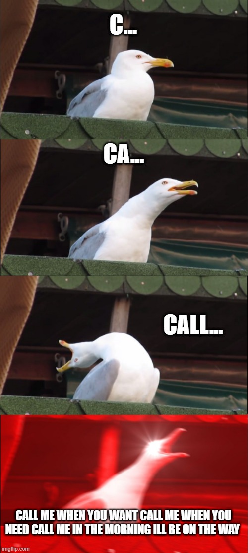 omg | C... CA... CALL... CALL ME WHEN YOU WANT CALL ME WHEN YOU NEED CALL ME IN THE MORNING ILL BE ON THE WAY | image tagged in memes,inhaling seagull | made w/ Imgflip meme maker