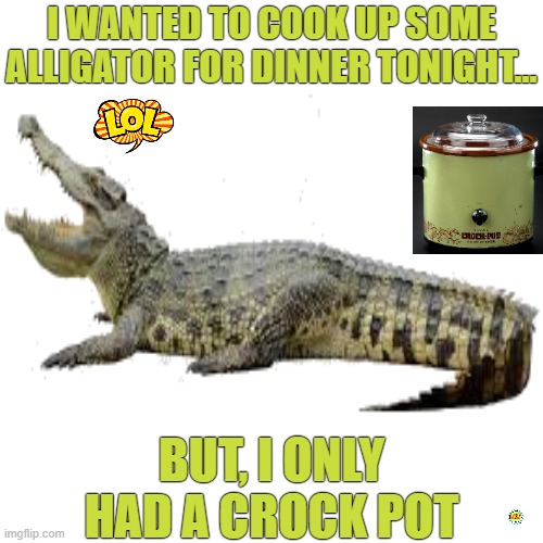 What A Crock | I WANTED TO COOK UP SOME ALLIGATOR FOR DINNER TONIGHT... BUT, I ONLY HAD A CROCK POT | image tagged in aligator meme,crock pot meme,what a crock | made w/ Imgflip meme maker