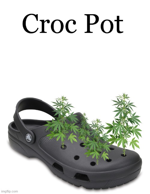 croc pot | image tagged in crocs,pot | made w/ Imgflip meme maker