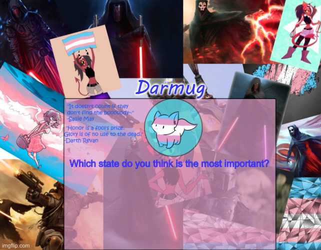Darmug's announcement template | Which state do you think is the most important? | image tagged in darmug's announcement template | made w/ Imgflip meme maker