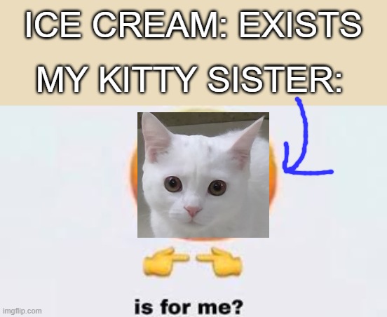My sister would eat anything... even human food! | ICE CREAM: EXISTS; MY KITTY SISTER: | image tagged in is for me,cat | made w/ Imgflip meme maker