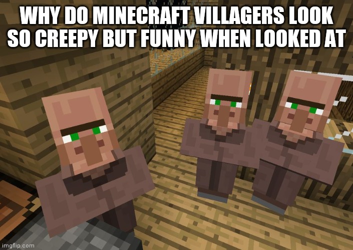 Hmm | WHY DO MINECRAFT VILLAGERS LOOK SO CREEPY BUT FUNNY WHEN LOOKED AT | image tagged in minecraft villagers | made w/ Imgflip meme maker