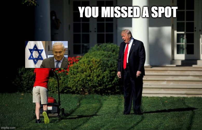 Trump Mower Boy | YOU MISSED A SPOT | image tagged in trump mower boy | made w/ Imgflip meme maker