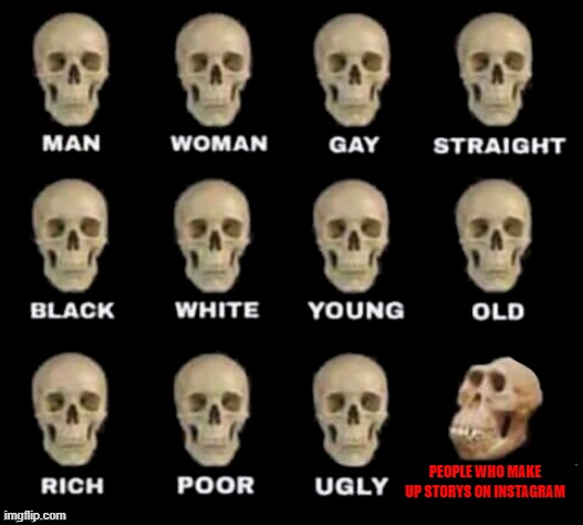 idiot skull | PEOPLE WHO MAKE UP STORYS ON INSTAGRAM; HUMAN SHELETONS | image tagged in idiot skull | made w/ Imgflip meme maker