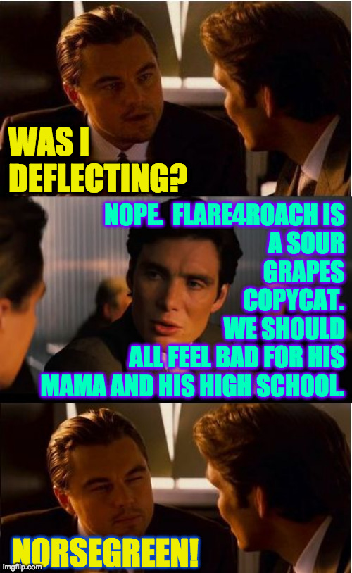 Inception Meme | WAS I DEFLECTING? NOPE.  FLARE4ROACH IS
A SOUR
GRAPES
COPYCAT.
WE SHOULD
ALL FEEL BAD FOR HIS
MAMA AND HIS HIGH SCHOOL. NORSEGREEN! | image tagged in memes,inception | made w/ Imgflip meme maker