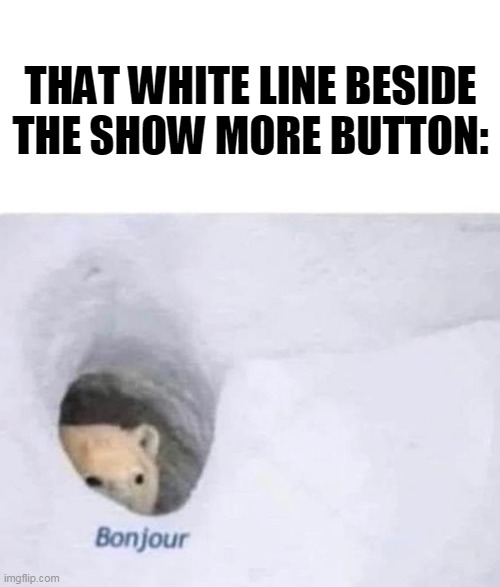Bonjour | THAT WHITE LINE BESIDE THE SHOW MORE BUTTON: | image tagged in bonjour | made w/ Imgflip meme maker