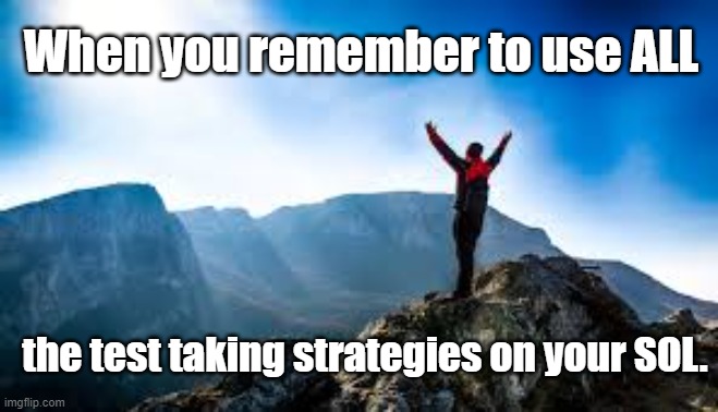 Test Strategies | When you remember to use ALL; the test taking strategies on your SOL. | image tagged in sols | made w/ Imgflip meme maker