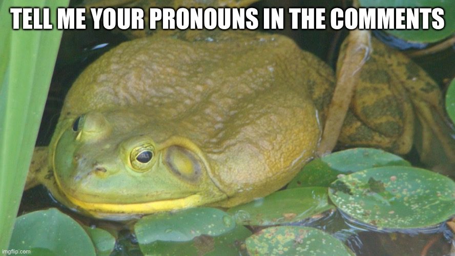 Small reminder I go by He/him, and if you deadname me out of spite I will block you | TELL ME YOUR PRONOUNS IN THE COMMENTS | made w/ Imgflip meme maker