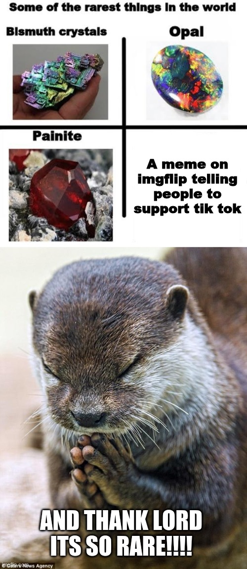 thank lord | A meme on imgflip telling people to support tik tok; AND THANK LORD ITS SO RARE!!!! | image tagged in some of the rarest things in the world,thank you lord otter | made w/ Imgflip meme maker
