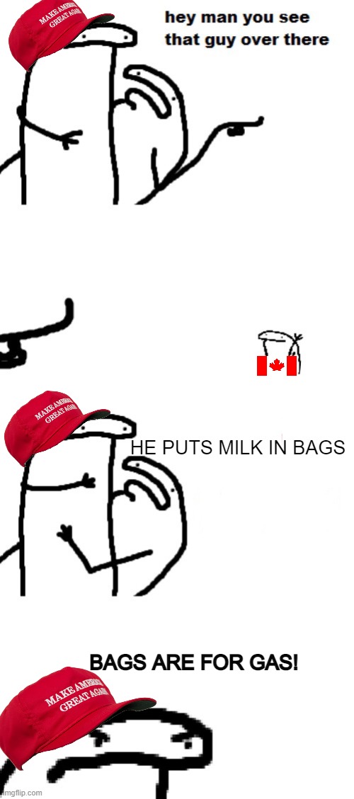 Bags are for gas! Also, cardboard boxes! | HE PUTS MILK IN BAGS; BAGS ARE FOR GAS! | image tagged in hey man you see that guy over there | made w/ Imgflip meme maker