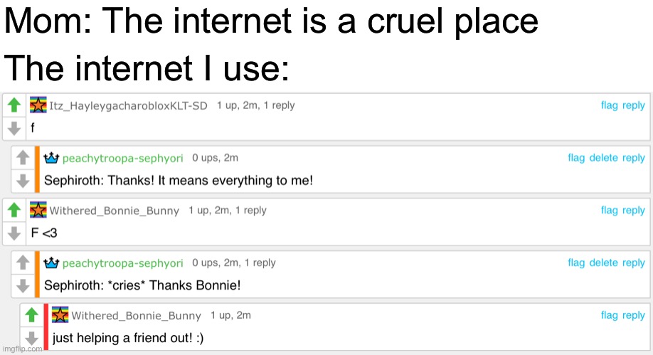 Memeplug | Mom: The internet is a cruel place; The internet I use: | made w/ Imgflip meme maker