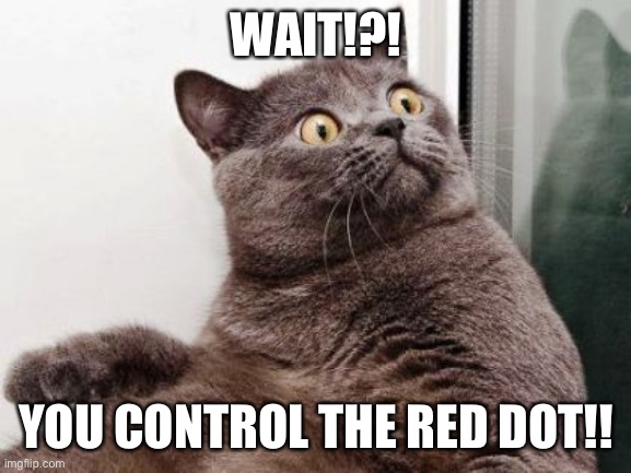 You control the red dot | WAIT!?! YOU CONTROL THE RED DOT!! | image tagged in surprised fat cat | made w/ Imgflip meme maker