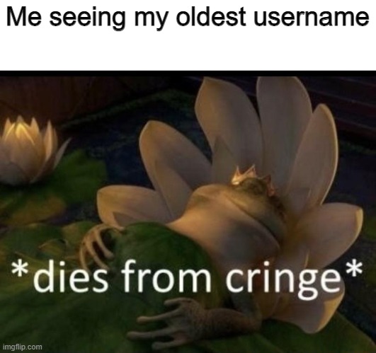 It was something like "Super_Aleks" lmao. | Me seeing my oldest username | image tagged in dies from cringe | made w/ Imgflip meme maker