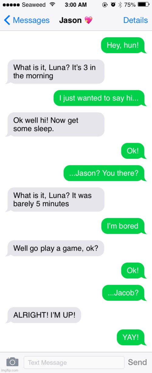 Just a normal conversation with two of my ocs | made w/ Imgflip meme maker
