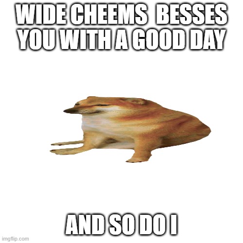 nice cheems | WIDE CHEEMS  BESSES YOU WITH A GOOD DAY; AND SO DO I | image tagged in memes,blank transparent square | made w/ Imgflip meme maker