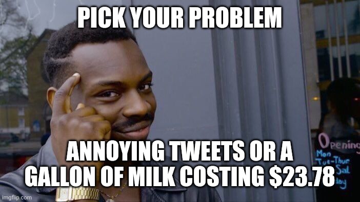 Roll Safe Think About It Meme | PICK YOUR PROBLEM; ANNOYING TWEETS OR A GALLON OF MILK COSTING $23.78 | image tagged in memes,roll safe think about it | made w/ Imgflip meme maker