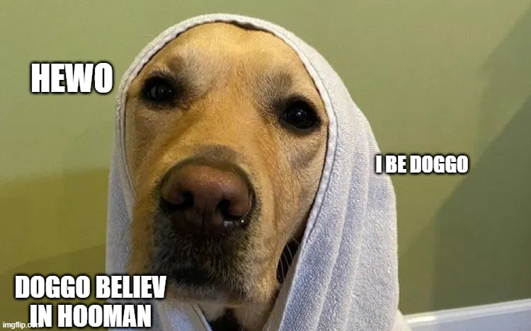 doggo is here | HEWO; I BE DOGGO; DOGGO BELIEV IN HOOMAN | image tagged in dog,doggo,motivational | made w/ Imgflip meme maker