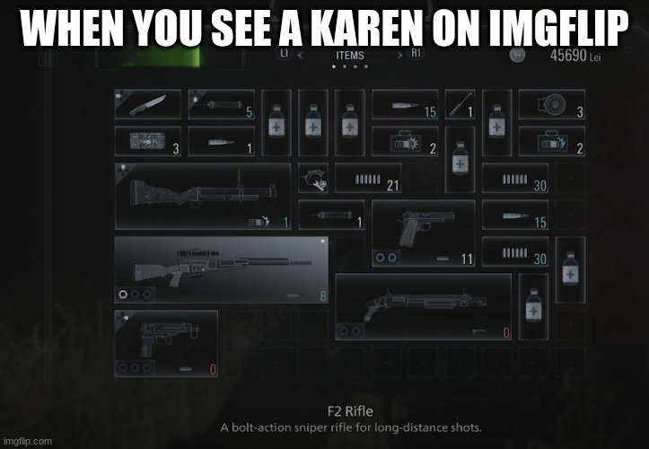 Blast em | WHEN YOU SEE A KAREN ON IMGFLIP | image tagged in destroy,resident evil,karens | made w/ Imgflip meme maker