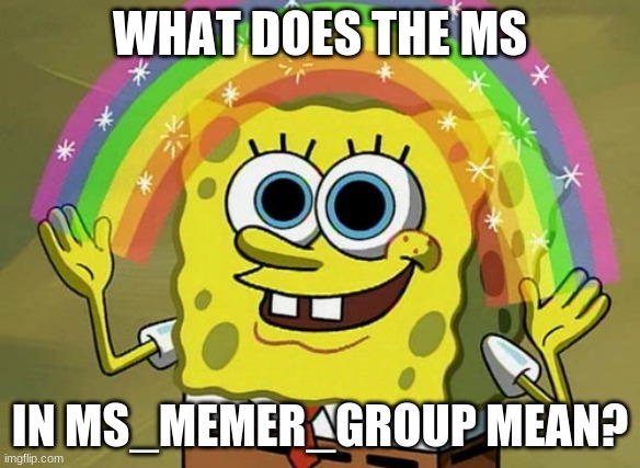 Imagination Spongebob | WHAT DOES THE MS; IN MS_MEMER_GROUP MEAN? | image tagged in memes,imagination spongebob | made w/ Imgflip meme maker