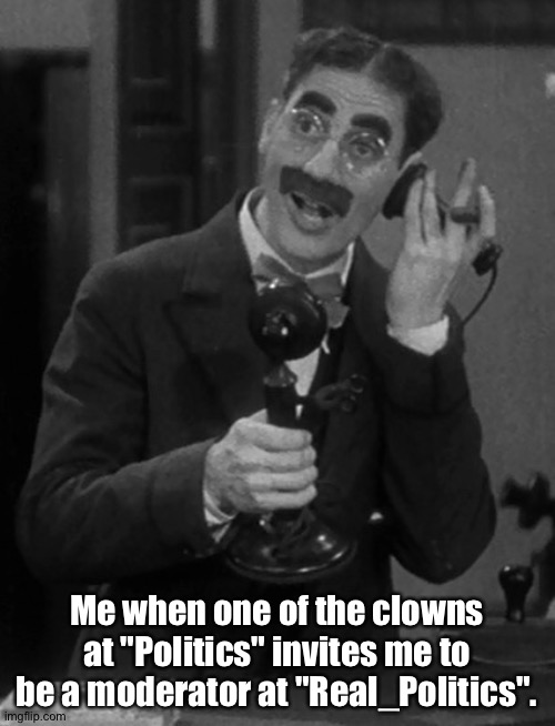 They can't be serious. | Me when one of the clowns at "Politics" invites me to be a moderator at "Real_Politics". | image tagged in groucho on the phone | made w/ Imgflip meme maker