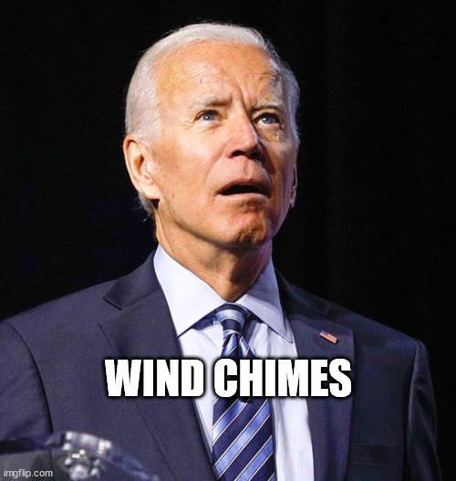 Joe Biden | WIND CHIMES | image tagged in joe biden | made w/ Imgflip meme maker