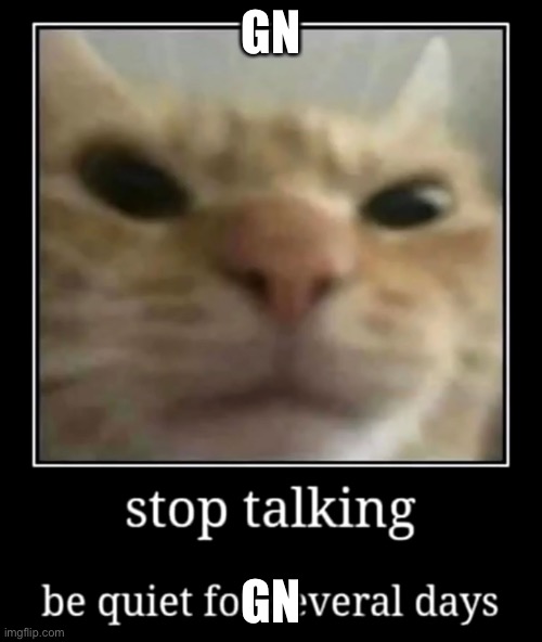 Stop talking, be quiet for several days | GN; GN | image tagged in stop talking be quiet for several days | made w/ Imgflip meme maker