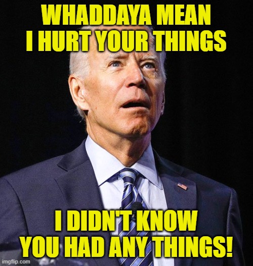 Joe Biden | WHADDAYA MEAN I HURT YOUR THINGS I DIDN'T KNOW YOU HAD ANY THINGS! | image tagged in joe biden | made w/ Imgflip meme maker