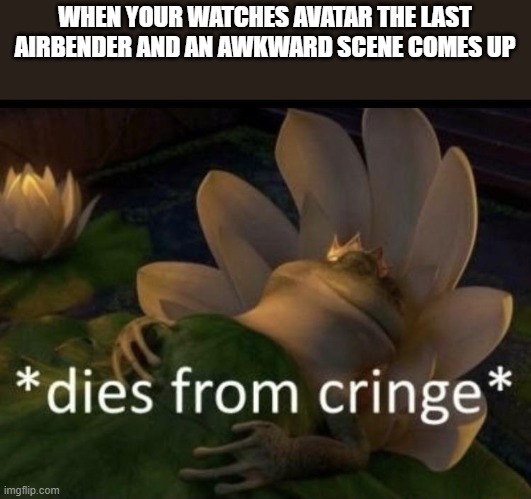 Dies from cringe | WHEN YOUR WATCHES AVATAR THE LAST AIRBENDER AND AN AWKWARD SCENE COMES UP | image tagged in dies from cringe | made w/ Imgflip meme maker
