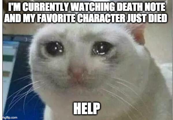 crying cat | I'M CURRENTLY WATCHING DEATH NOTE AND MY FAVORITE CHARACTER JUST DIED; HELP | image tagged in crying cat | made w/ Imgflip meme maker