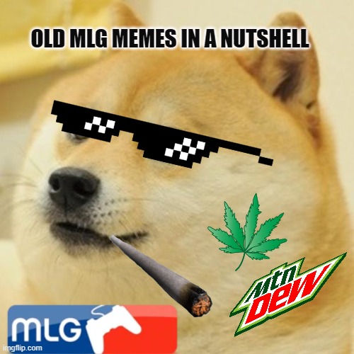old mlg memes | OLD MLG MEMES IN A NUTSHELL | image tagged in memes,doge | made w/ Imgflip meme maker