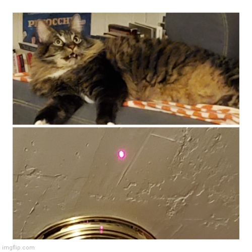 Red Dot | image tagged in red dot | made w/ Imgflip meme maker