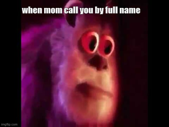 wait what |  when mom call you by full name | image tagged in sully groan | made w/ Imgflip meme maker