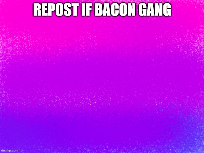 pretty bi flag | REPOST IF BACON GANG | image tagged in pretty bi flag | made w/ Imgflip meme maker
