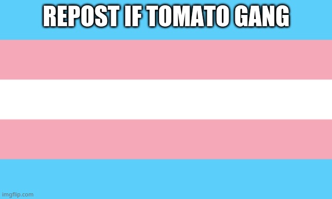 Trans Flag | REPOST IF TOMATO GANG | image tagged in trans flag | made w/ Imgflip meme maker
