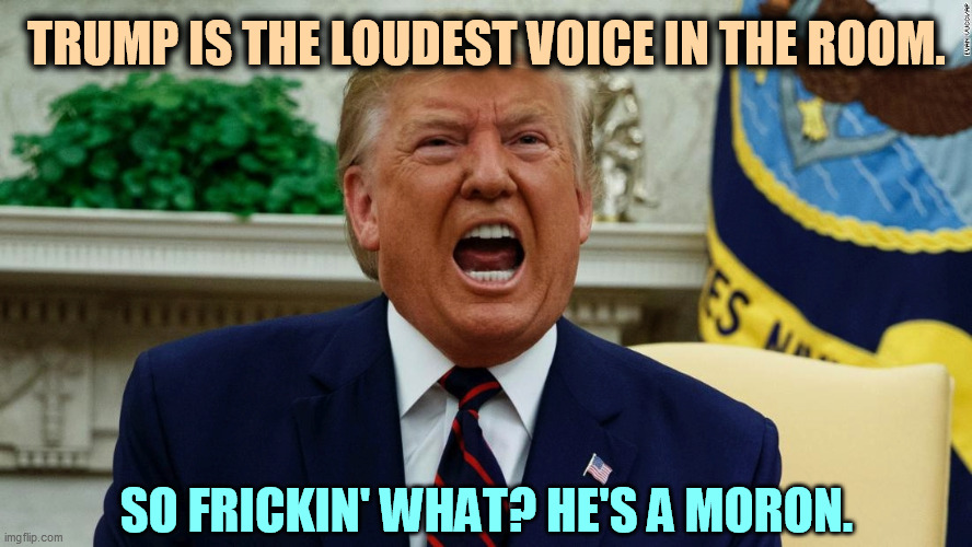 If you have any kind of B.S. detector at all, you already know that. | TRUMP IS THE LOUDEST VOICE IN THE ROOM. SO FRICKIN' WHAT? HE'S A MORON. | image tagged in trump,loud,moron | made w/ Imgflip meme maker