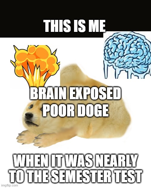 this is me when its nearly test at class | THIS IS ME; POOR DOGE; BRAIN EXPOSED; WHEN IT WAS NEARLY TO THE SEMESTER TEST | image tagged in multi doge,funny memes | made w/ Imgflip meme maker