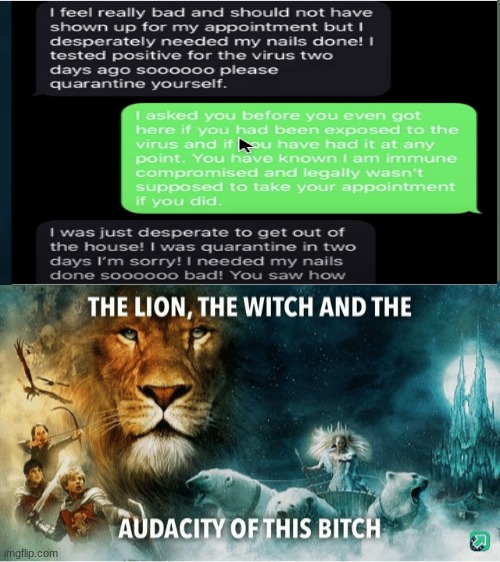 this makes me feel sad | image tagged in the lion the witch and the audacity of this bitch | made w/ Imgflip meme maker