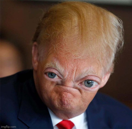 Donald thing lol! -owner | image tagged in lol | made w/ Imgflip meme maker