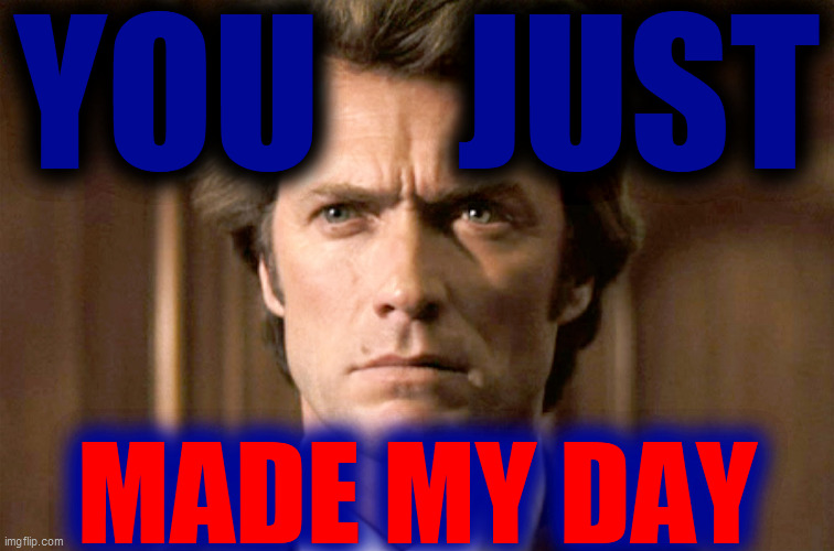 Dirty Harry No Gun | YOU    JUST MADE MY DAY | image tagged in dirty harry no gun | made w/ Imgflip meme maker