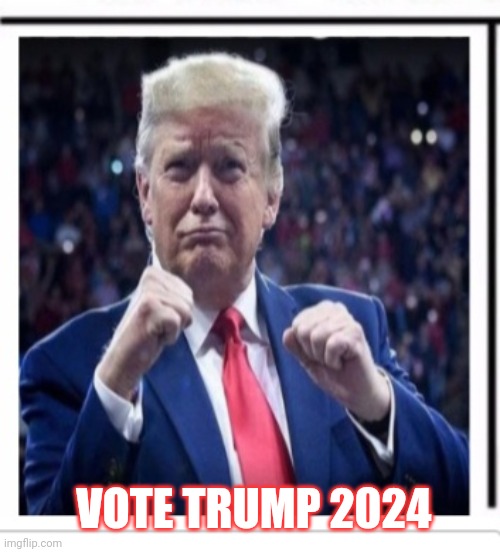 VOTE TRUMP 2024 | made w/ Imgflip meme maker