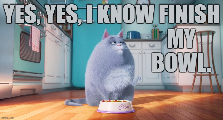 Thank You Again to Triumph_9 For Inspiration... | YES, YES, I KNOW FINISH; MY BOWL. | image tagged in memes,cats,chloe,i know,finish,bowl | made w/ Imgflip meme maker