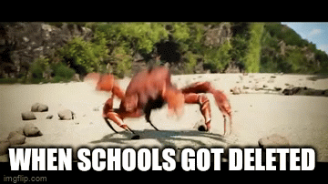 Dance | WHEN SCHOOLS GOT DELETED | image tagged in gifs,school,memes | made w/ Imgflip video-to-gif maker