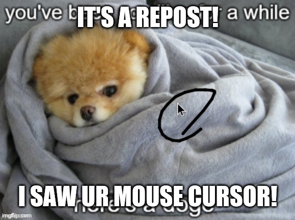 IT'S A REPOST! I SAW UR MOUSE CURSOR! | made w/ Imgflip meme maker
