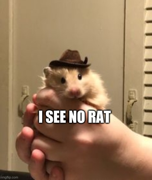 cowboy hamster | I SEE NO RAT | image tagged in cowboy hamster | made w/ Imgflip meme maker